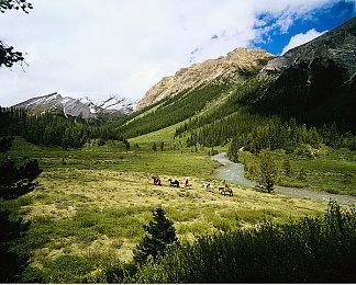 《上古卷轴4：湮没》天际重制版25分钟实机视频